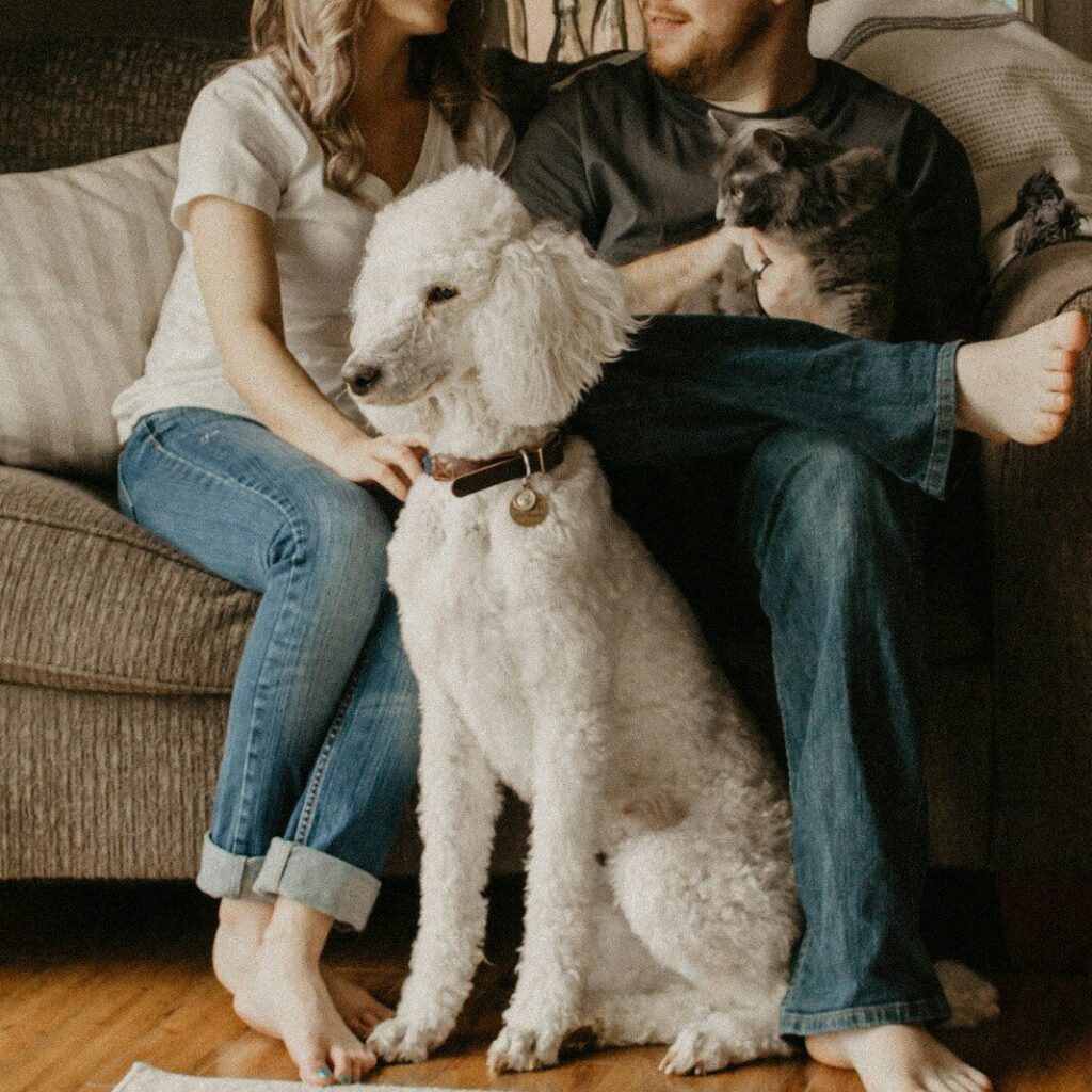couple sitting on sofa beside dog inside room